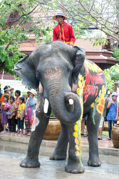 Baile de elefante joven en el festival del agua . — Foto de Stock