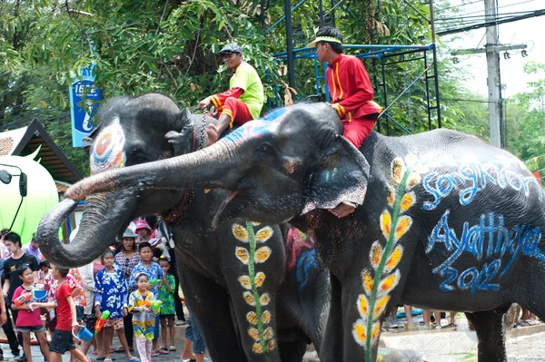 Jovem elefante jogando água . — Fotografia de Stock