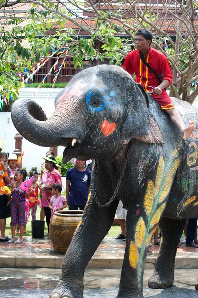 Young Elephant dance i vattenfestival. — Stockfoto