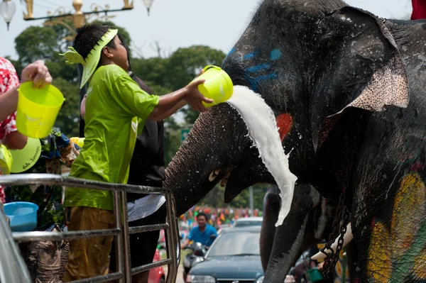 Jovem elefante jogando água . — Fotografia de Stock