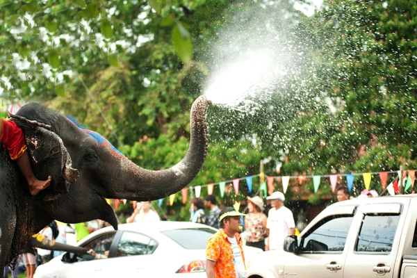 Junger Elefant spielt Wasser. — Stockfoto