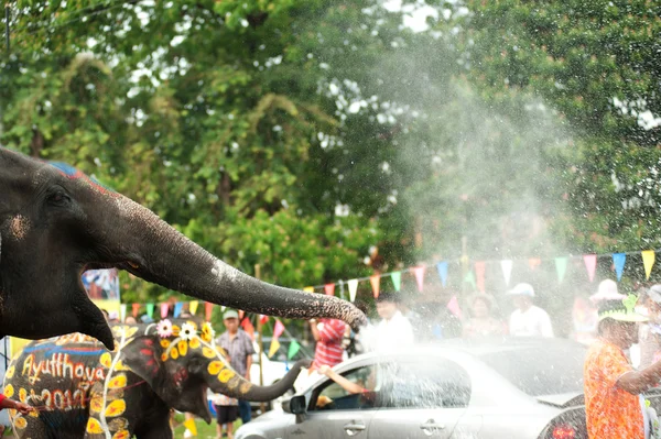 Junger Elefant spielt Wasser. — Stockfoto