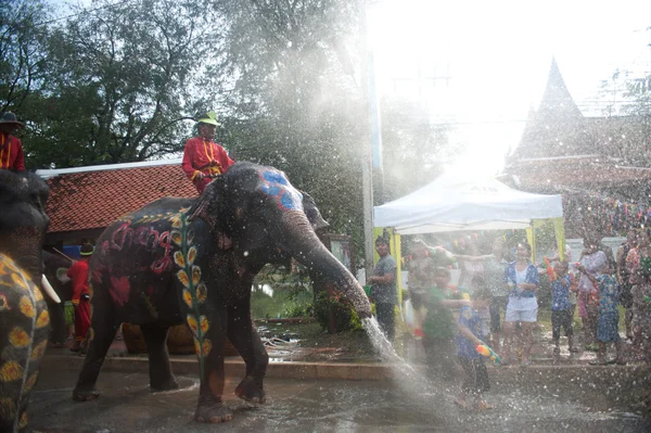 Молодий слон гра води. — стокове фото