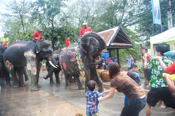 Jovem elefante jogando água . — Fotografia de Stock