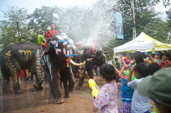 Jovem elefante jogando água . — Fotografia de Stock