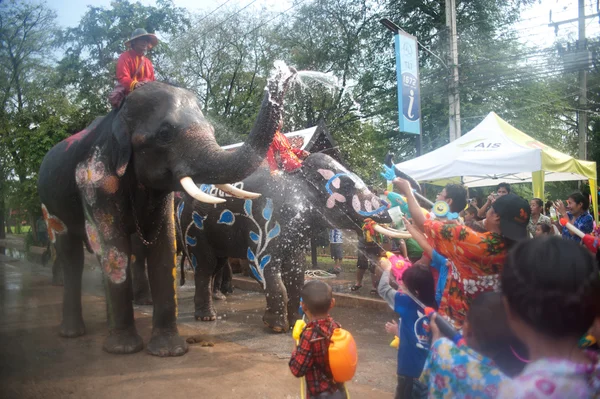 Jovem elefante jogando água . — Fotografia de Stock