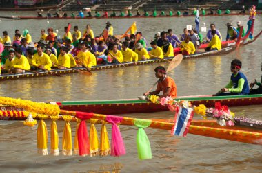 Renkli toplam longtailboat .