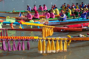 Renkli toplam longtailboat .