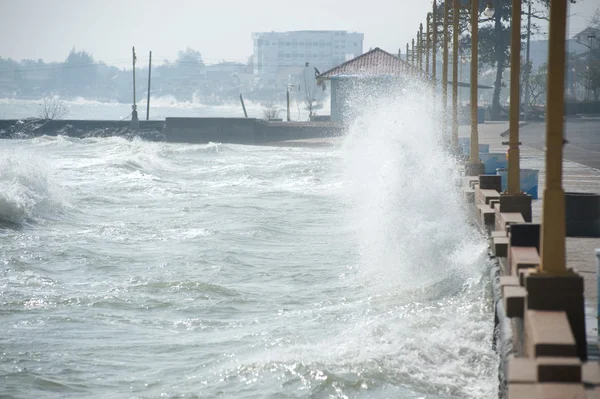 Rolling wave slamming on the coastline . — Stock Photo, Image