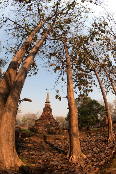 थाई मंदिर में प्राचीन पगोडा  . — स्टॉक फ़ोटो, इमेज