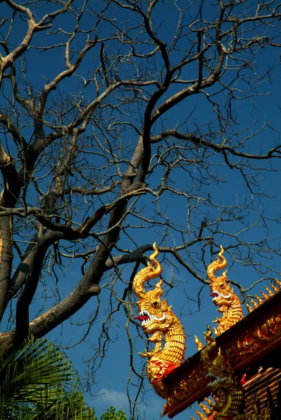タイの寺院の屋根の教会に蛇のタイの芸術. — ストック写真
