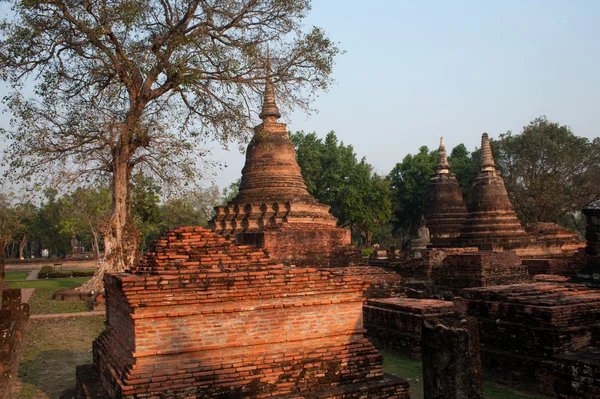 Poziomy widok świątyni Wat Mahatat w park historyczny Sukhothai. — Zdjęcie stockowe