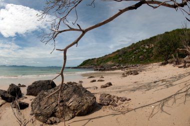 Şapka Samae beach Koh Larne Island, Tayland.