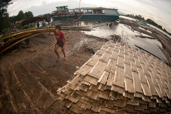 Trabajadores en tierra llevando bambú . —  Fotos de Stock