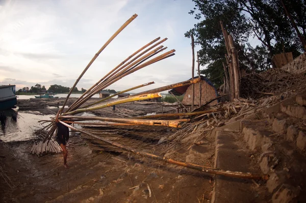 Workers ashore carrying bamboo. — Stock Photo, Image