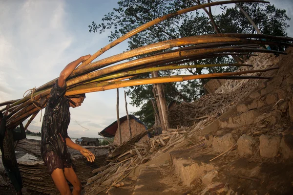 Werknemers aan wal uitvoering bamboe. — Stockfoto