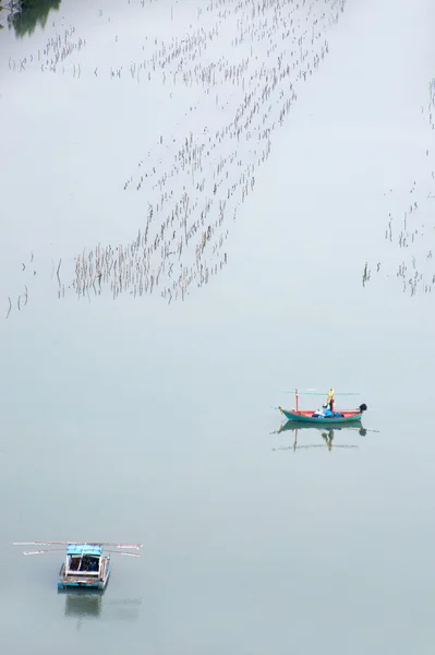 Κεντημένο ψαροπαγίδες στον κόλπο . — Φωτογραφία Αρχείου