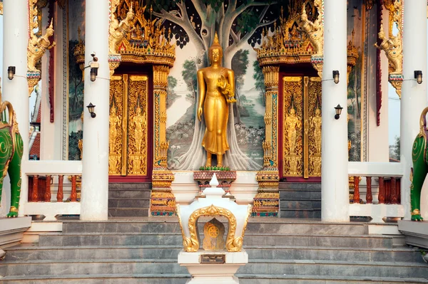 Frente de Buda de pé da Igreja no templo tailandês na Tailândia . — Fotografia de Stock