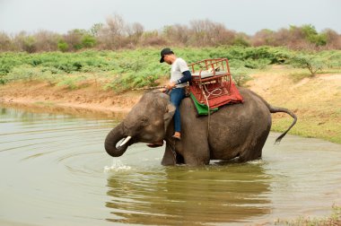 Fil saadettir fil koordinasyon geçit sonra su ile