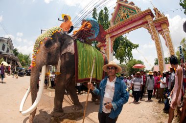 Fil koordinasyon geçit geri Festival.