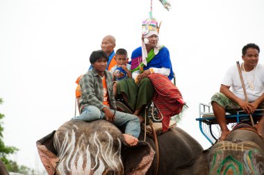 Fil koordinasyon geçit geri Festival.