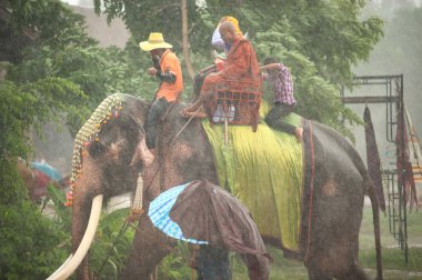 Fil koordinasyon geçit geri Festival.