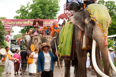 Fil koordinasyon geçit geri Festival.