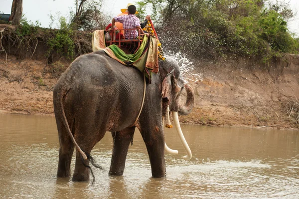 Elefantenglück mit Wasser nach Ordinationsparade auf Elefant — Stockfoto