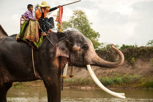 Elephant hapiness with water after Ordination parade on elephant — Stock Photo, Image
