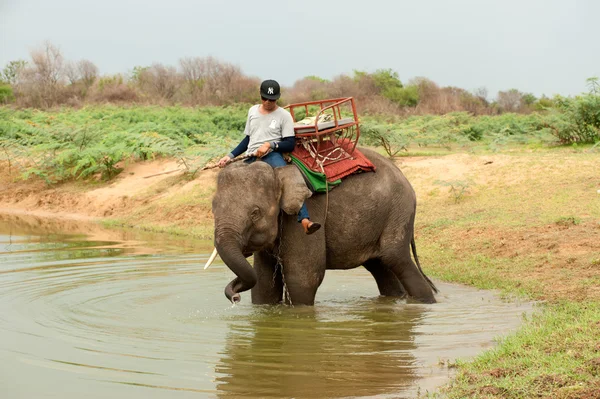 Elefantenglück mit Wasser nach Ordinationsparade auf Elefant — Stockfoto