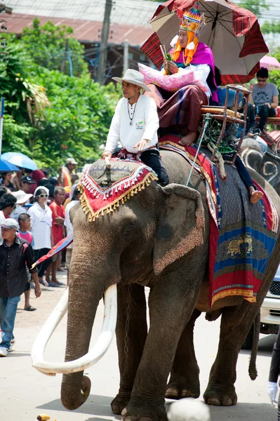 Desfile de ordenação nas costas do elefante Festival . — Fotografia de Stock