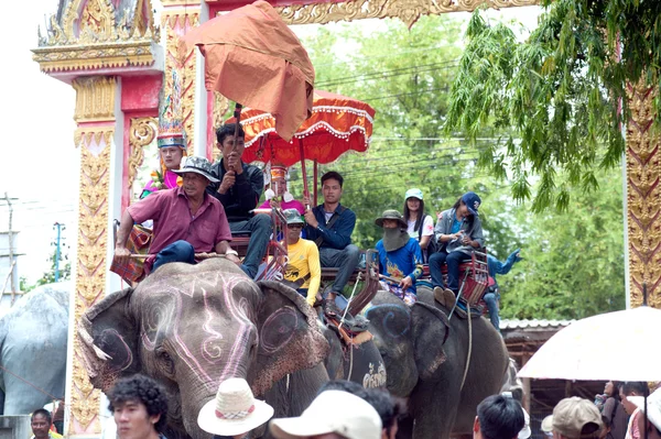 Desfile de ordenação nas costas do elefante Festival . — Fotografia de Stock