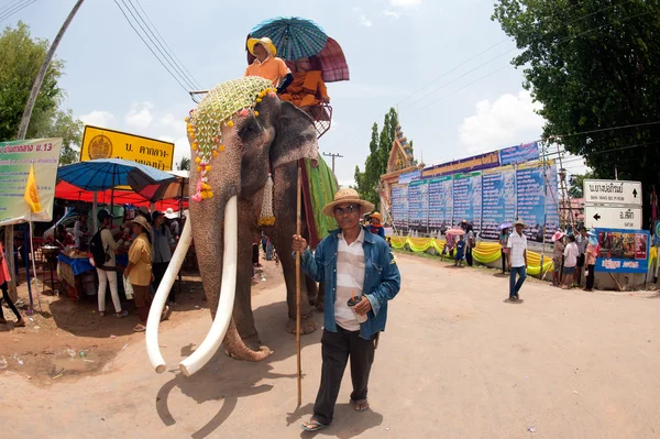 Święcenia kapłańskie parada na słonia jest powrót festiwalu. — Zdjęcie stockowe