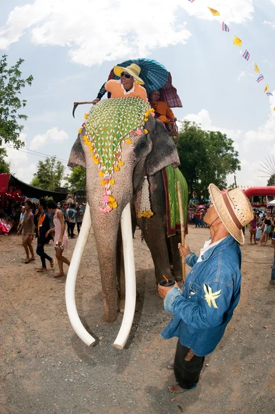 Ordination parade on elephant's back Festival. — Stock Photo, Image