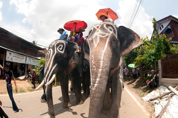 Desfile de ordenação nas costas do elefante Festival . — Fotografia de Stock