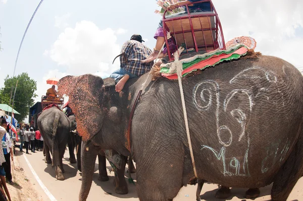 Ordination parade on elephant's back Festival. — Stock Photo, Image