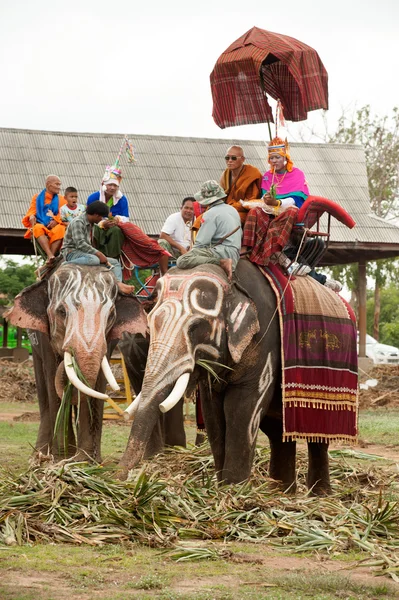 Prästvigning parad på elephant's tillbaka Festival. — Stockfoto