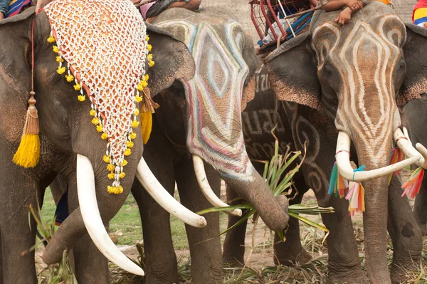 Parada de hirotonire la festivalul de spate al elefantului . — Fotografie, imagine de stoc