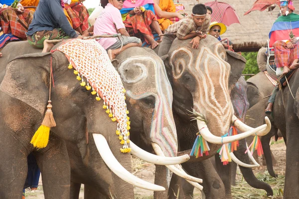 Desfile de ordenação nas costas do elefante Festival . — Fotografia de Stock