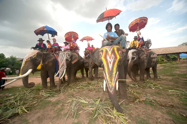 Desfile de ordenação nas costas do elefante Festival . — Fotografia de Stock