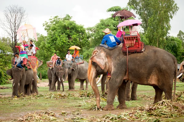 Ordination parade on elephant's back Festival. — Stock Photo, Image