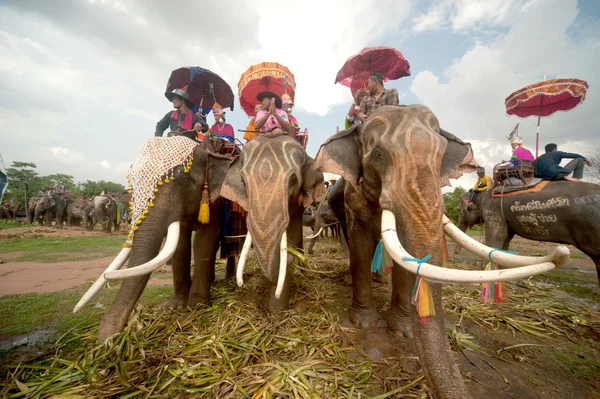 Ordination parade on elephant's back Festival. — Stock Photo, Image