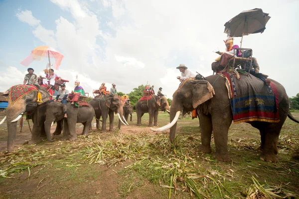 Prästvigning parad på elephant's tillbaka Festival. — Stockfoto