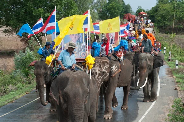 Desfile de ordenación en la espalda del elefante Festival . — Foto de Stock