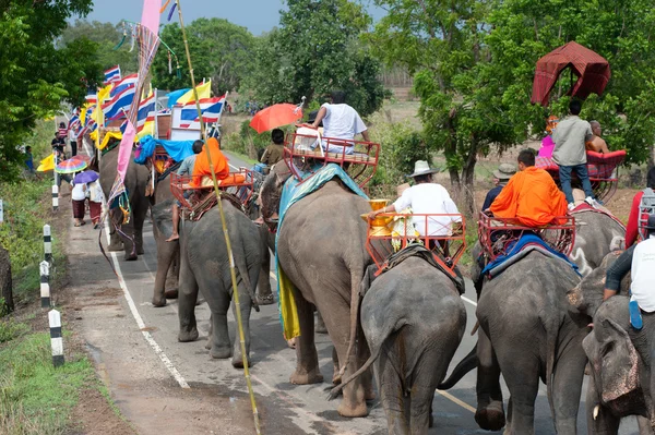 Ordination parade on elephant's back Festival. — Stock Photo, Image