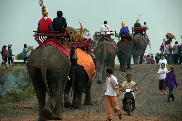 Ordination parade on elephant's back Festival. — Stock Photo, Image