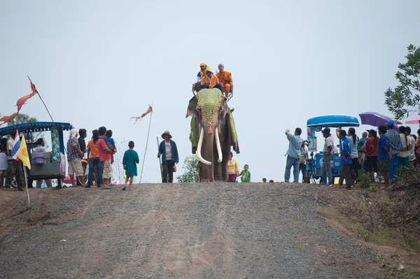 Desfile de ordenación en la espalda del elefante Festival . — Foto de Stock
