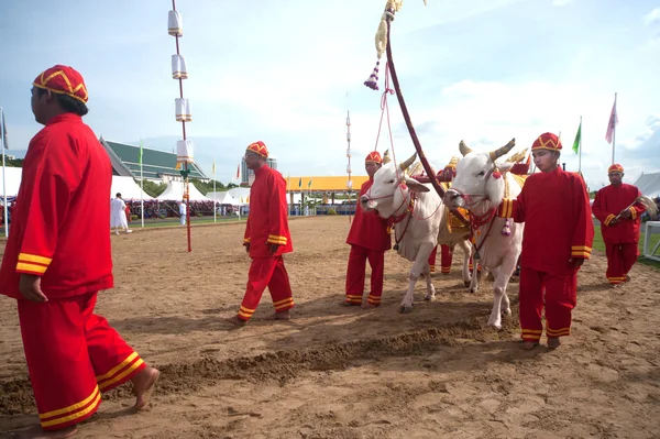 The Royal Plowing Ceremony . — Stock Photo, Image