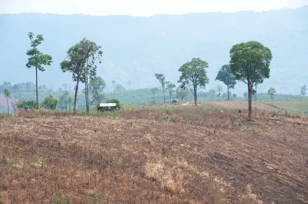 Hills were plowed. — Stock Photo, Image