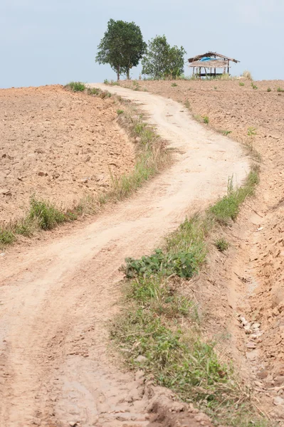 Road on the slopes of the hill area to be tilled. — Stock Photo, Image